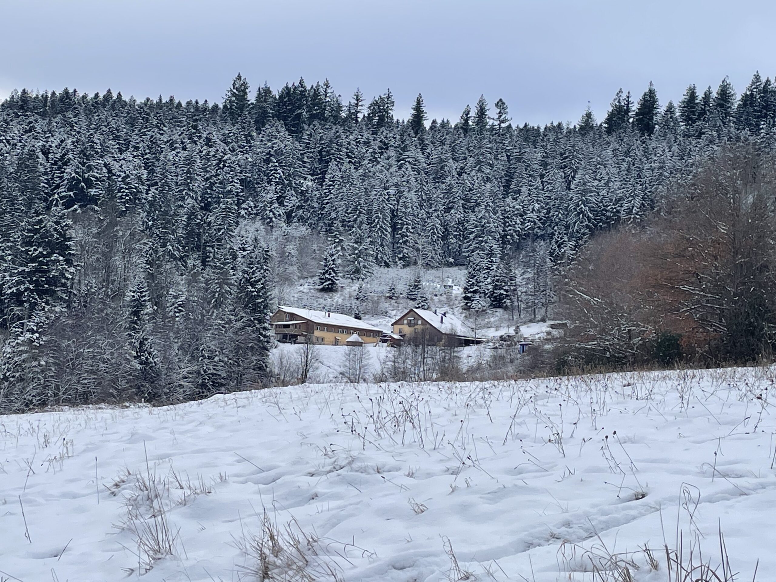 Refuge_de_forestier_3307